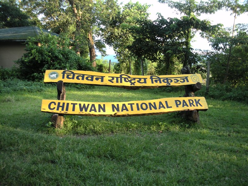निकुञ्जमा सुरु भयो सफारी