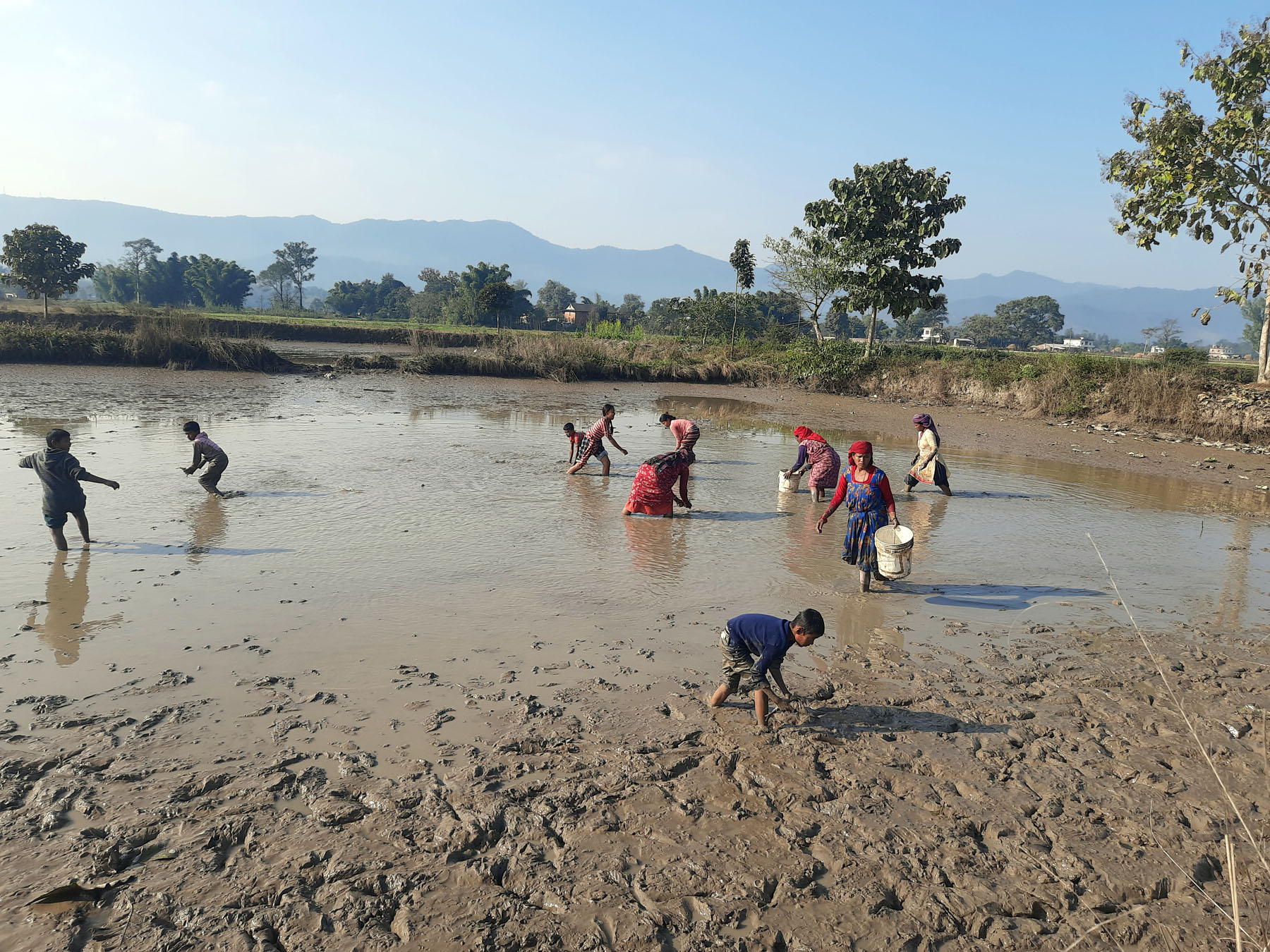 पोखरीबाट माछा निकाल्दै