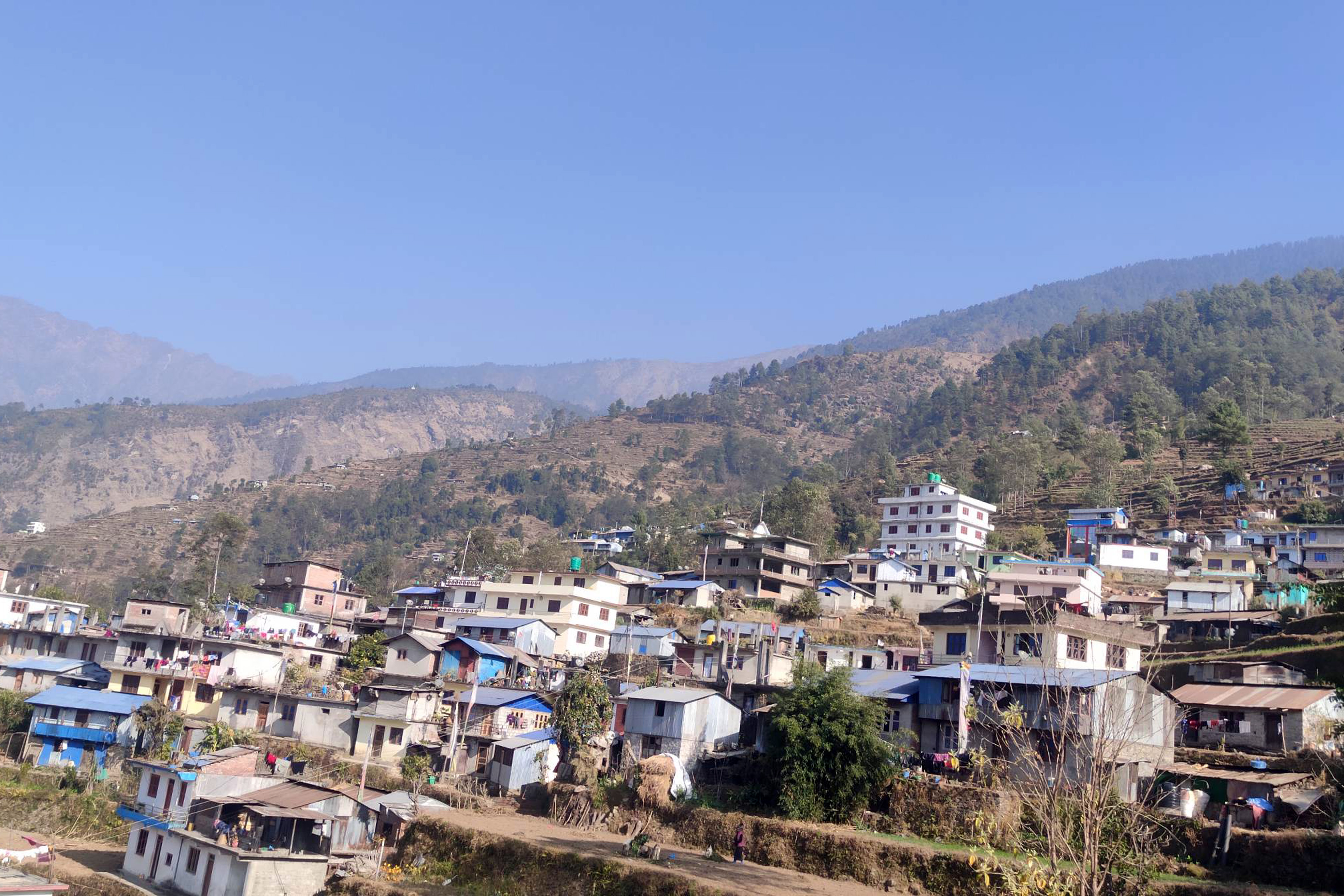 भोताङको यार्सा गाँउ
