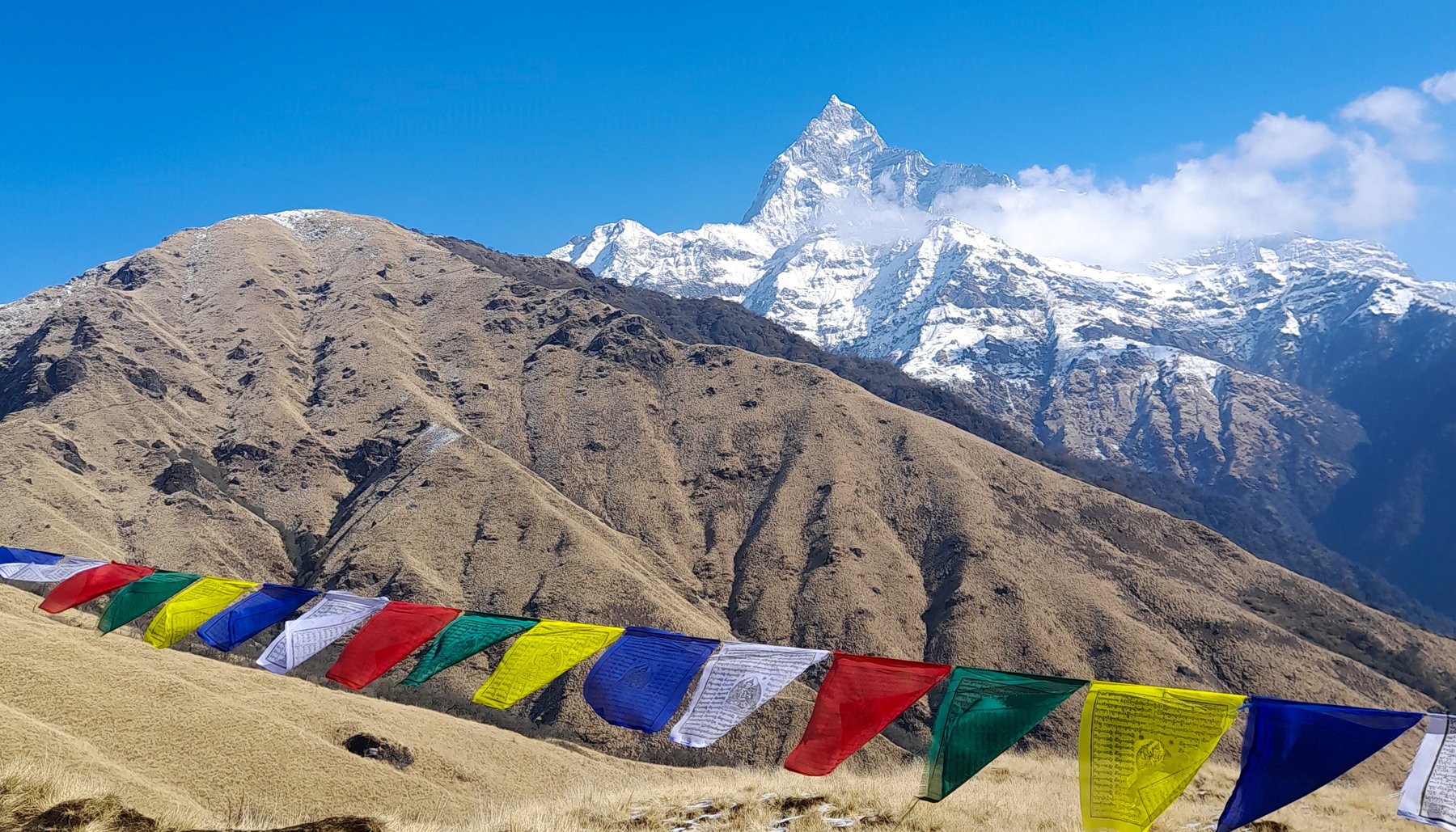 माछापुच्छ्र्रे