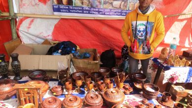 ‘सीप भए पैसा कमाउन गाह्रो छैन’