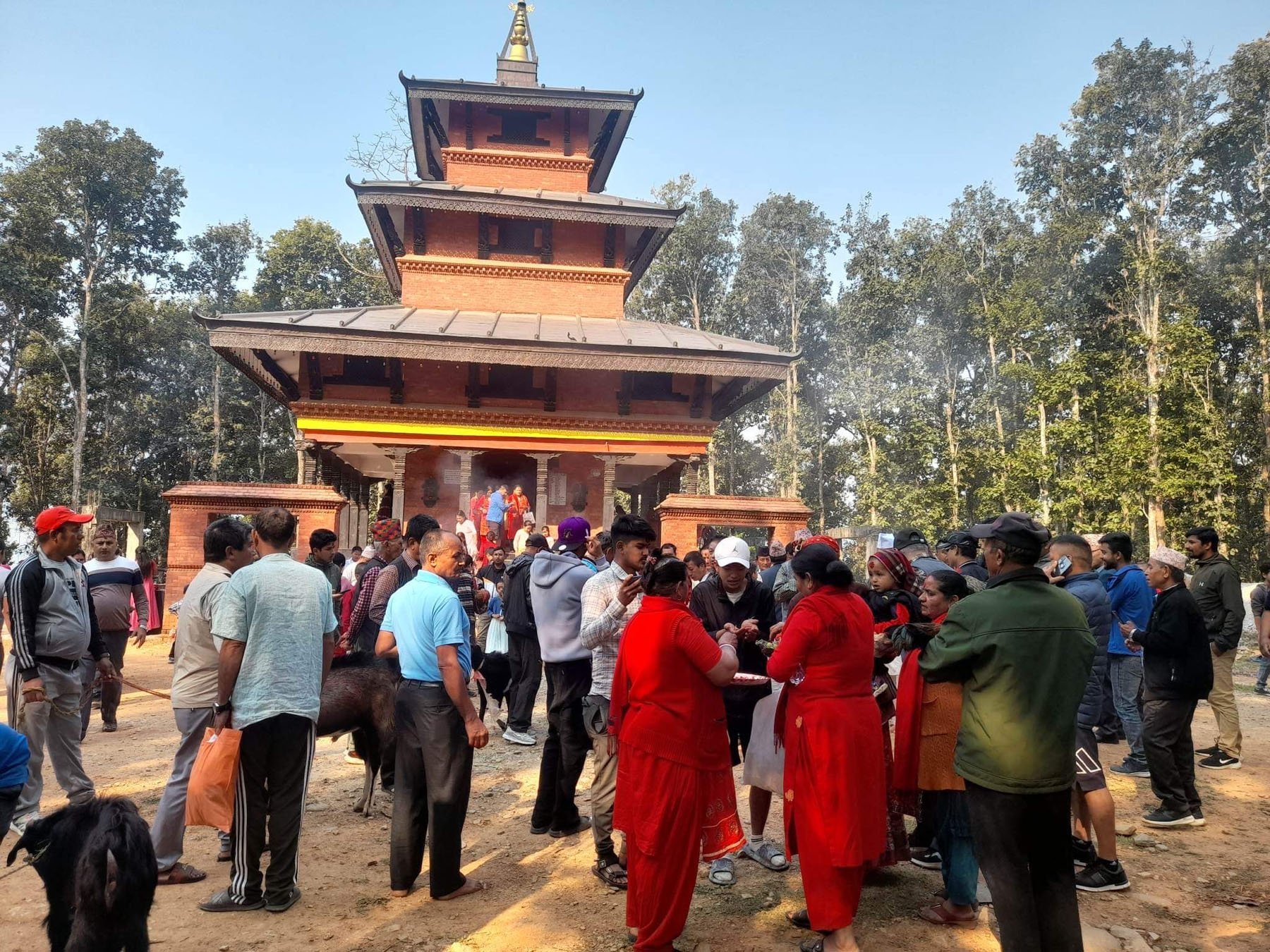 कालिका मन्दिरमा दर्शनार्थीको भीड