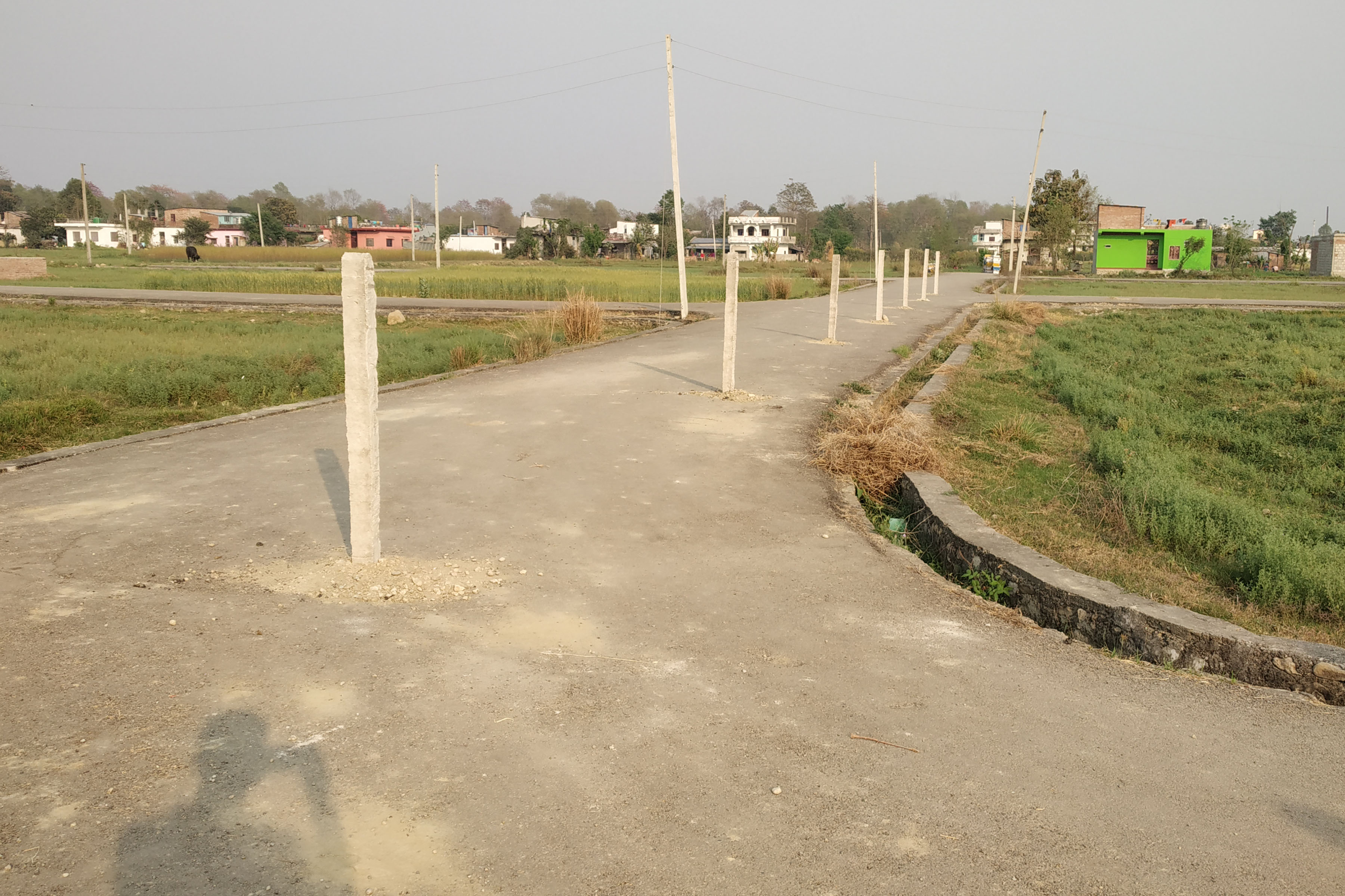 सडकको बीचमा ‘पोल’