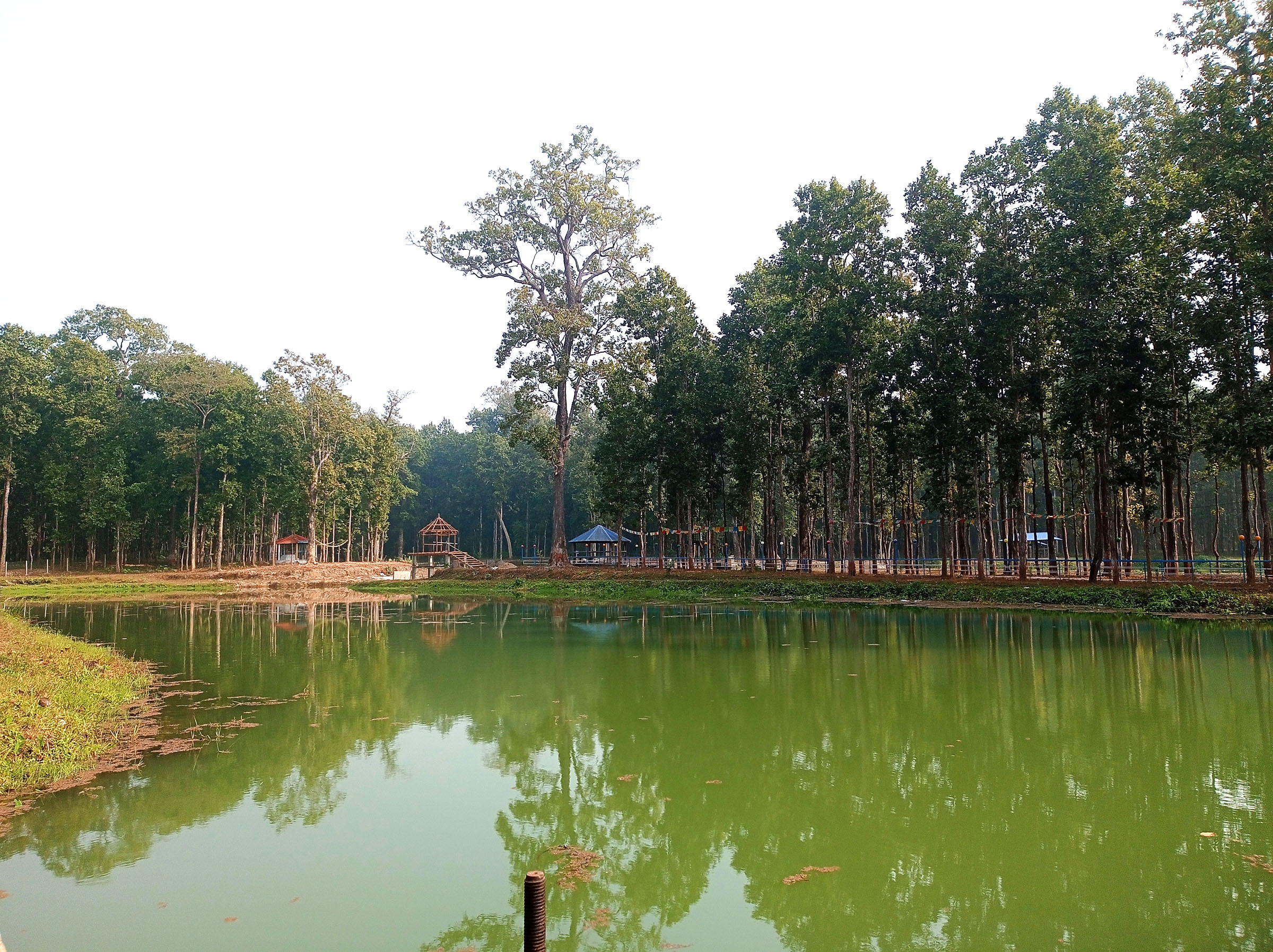 पञ्चायन सिमसार क्षेत्र