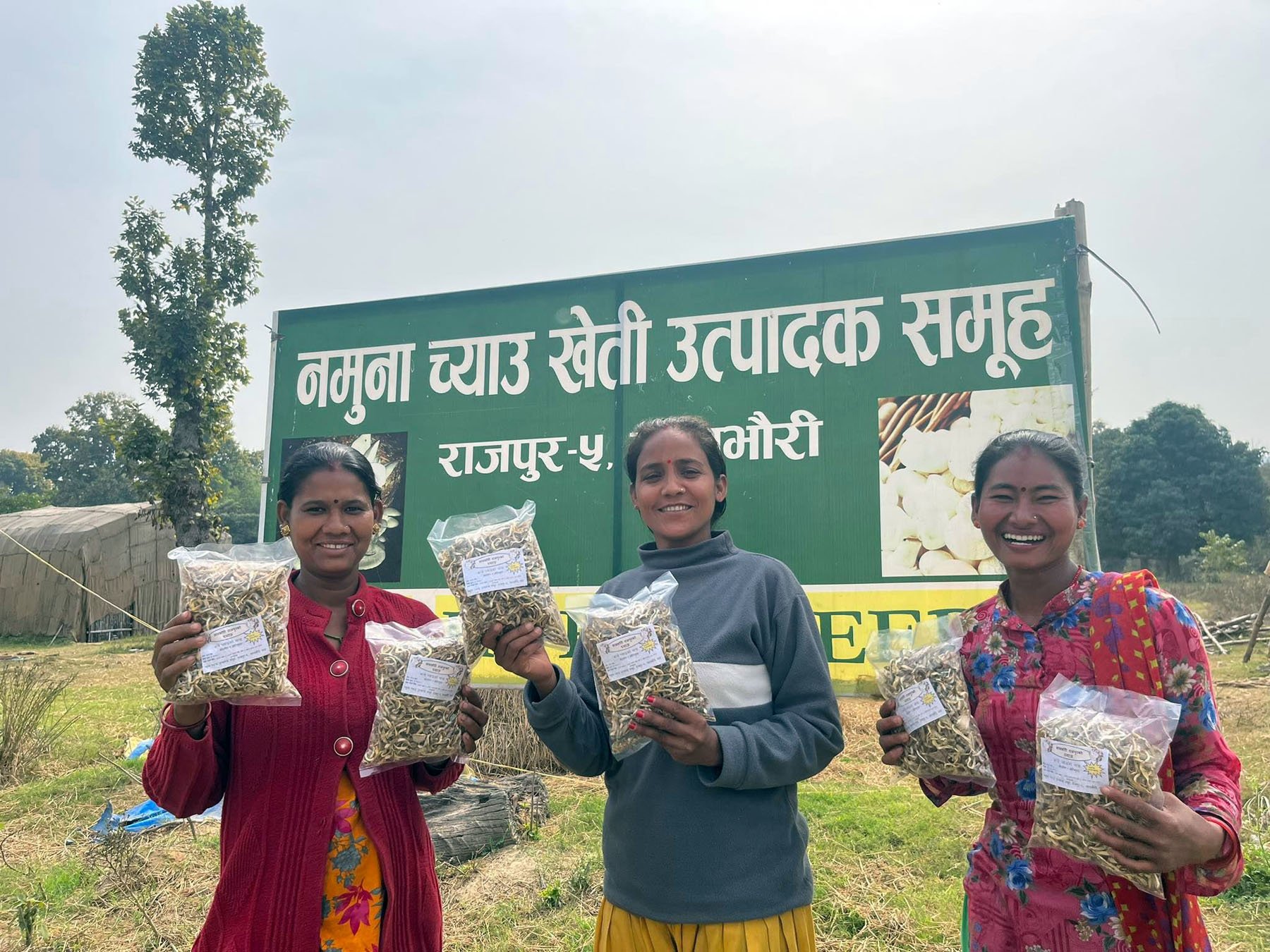 महिला समूहले उत्पादन गरेको कन्ये च्याउको चाना