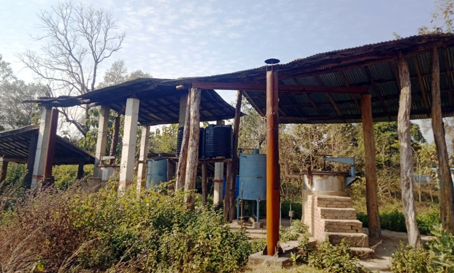 अलपत्र अवस्थामा जडिबुटी प्रशोधन प्लान्ट