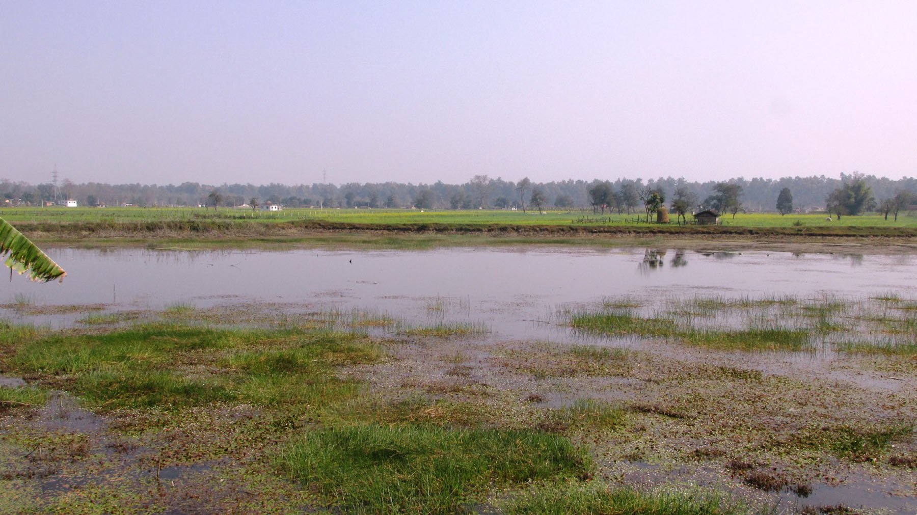 अतिक्रमणको चपेटामा परेको गडविजुला ताल