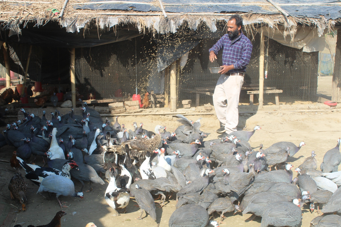 लौकाट चरालाई चारो खुवाउँदै