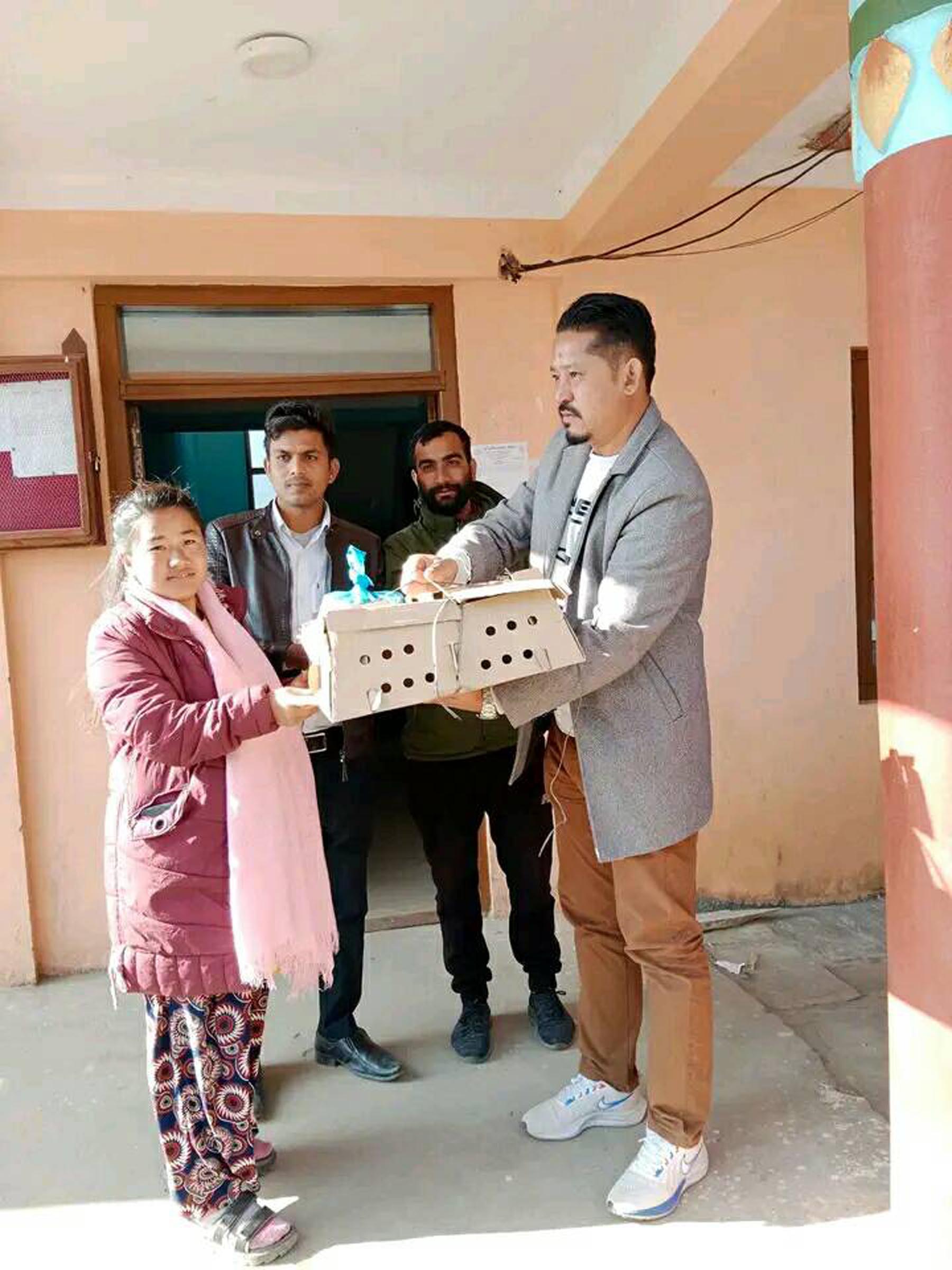 कुखुराको चल्ला वितरण