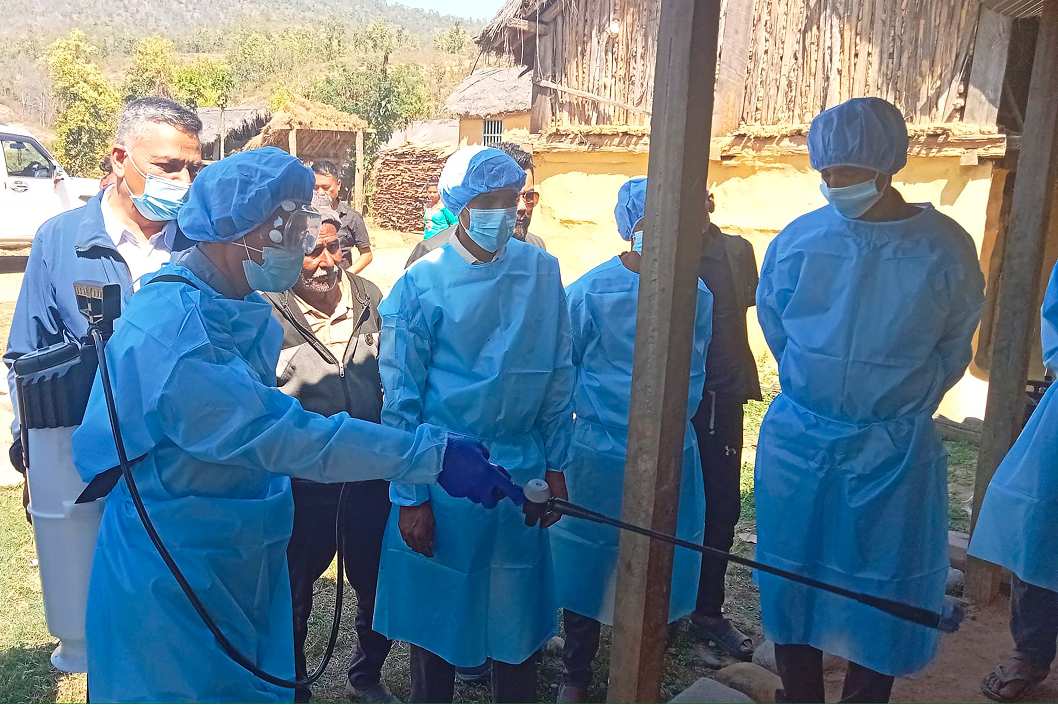 औलो नियन्त्रणका लागि किटनाशक विषादी छर्किदै