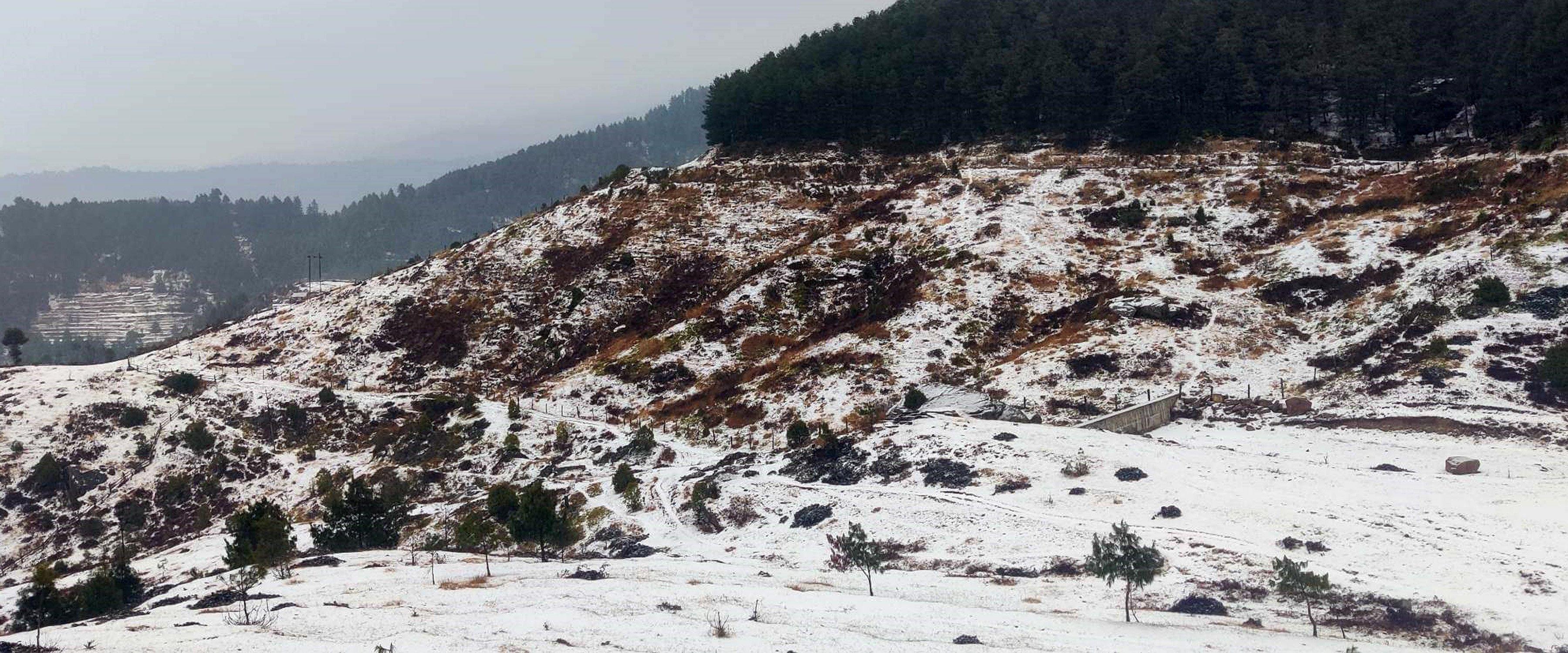 असिना