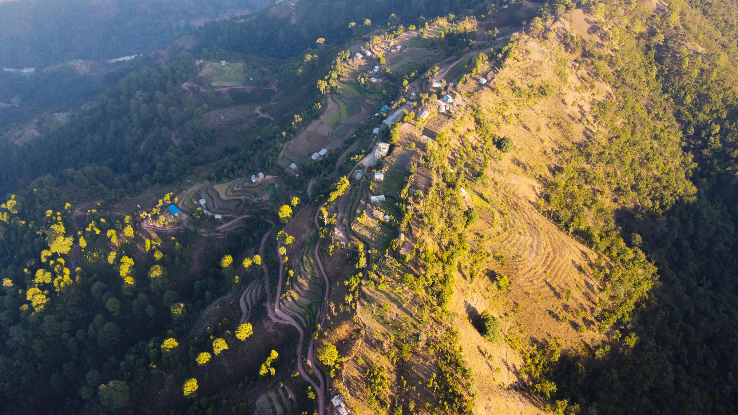 नयाँवन गाउँ