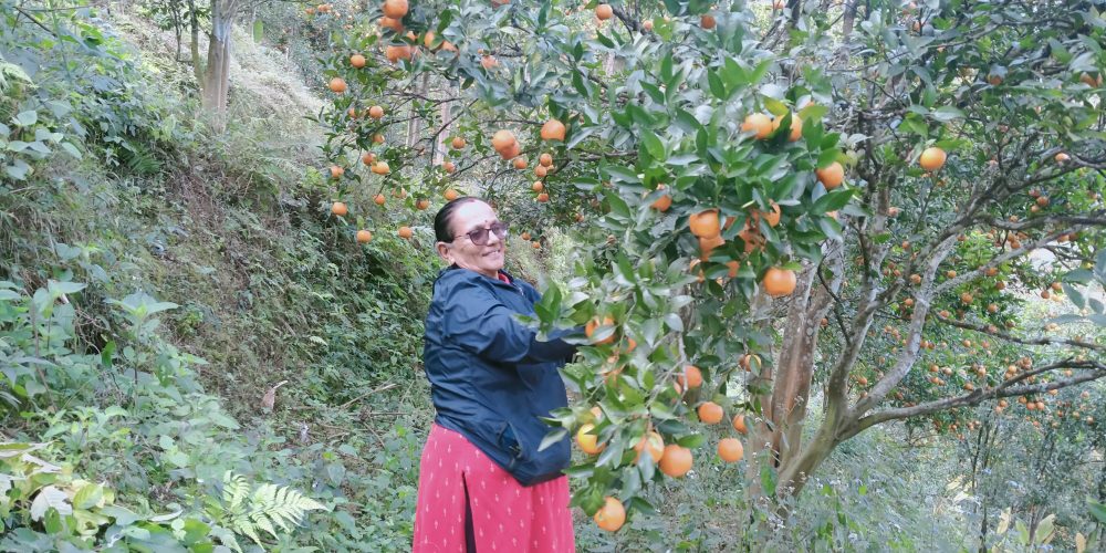 २९ वर्ष बालबालिकासँग, अहिले सुन्तलासँग रमाउँदै ‘तारा’