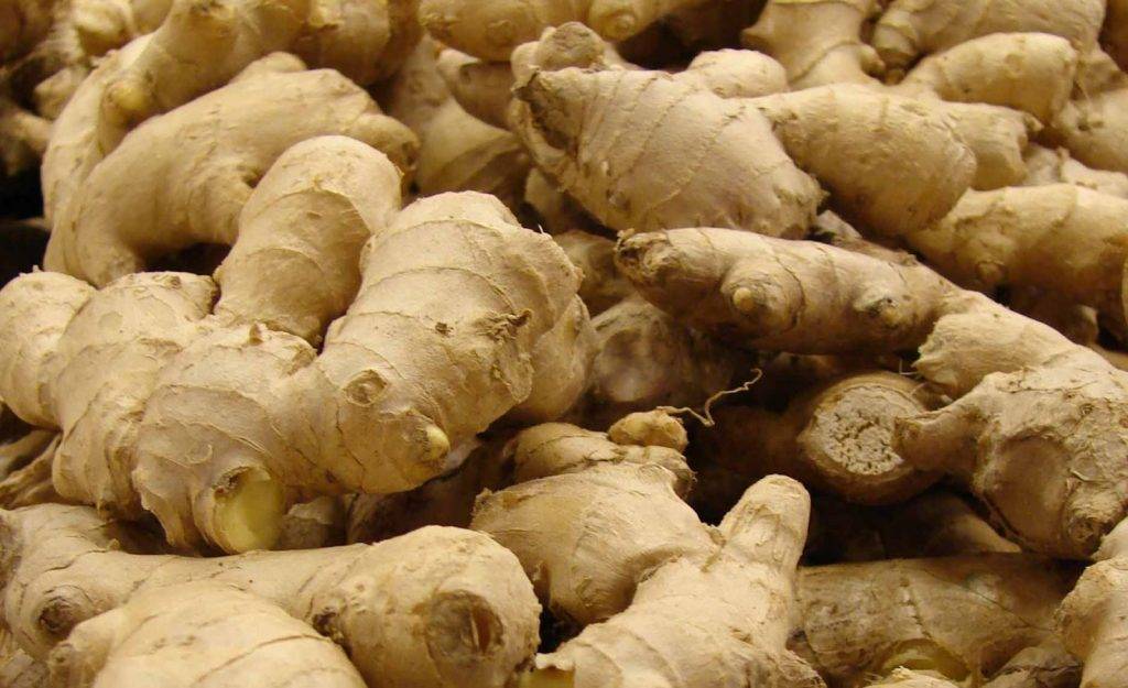 अदुवा खेतीले सल्यानमा भित्रियो ४१ करोड