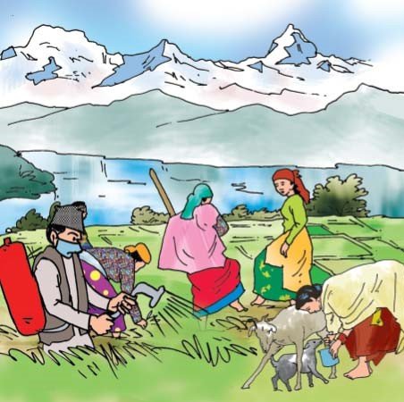 अर्थतन्त्रमा कृषि क्षेत्रको योगदान