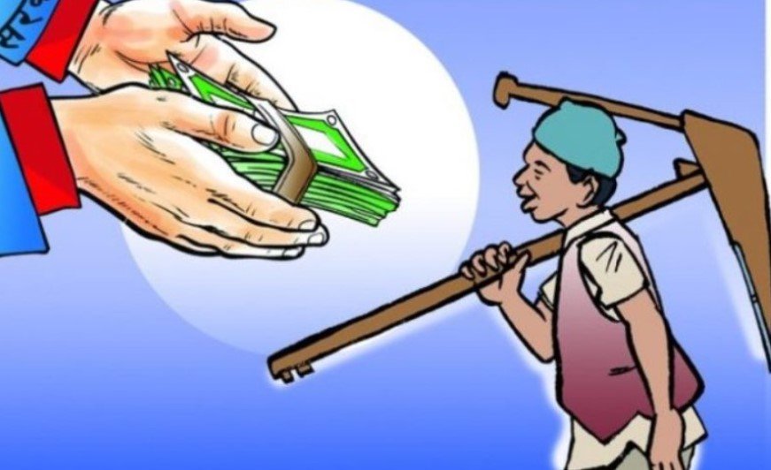 कृषि बीमालाई निरन्तरता दिदैँ बीमा कम्पनी