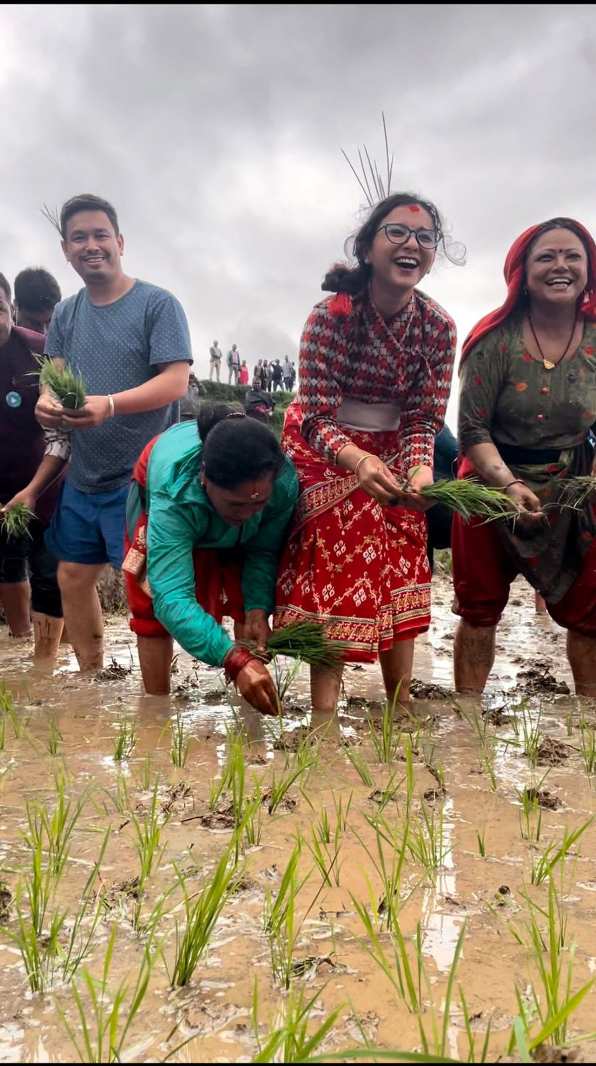 सांसद डा कार्की