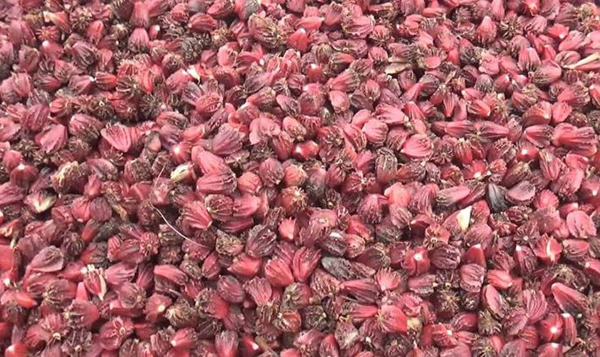 ७ अर्ब ७० करोडको अलैँची निर्यात