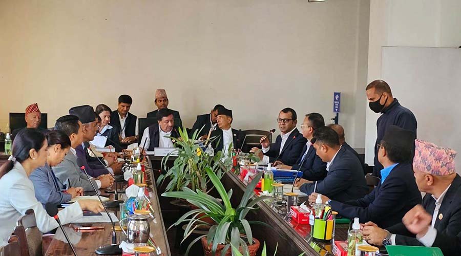 धितोपत्र बोर्डलाई अर्थ समितिको निर्देशन