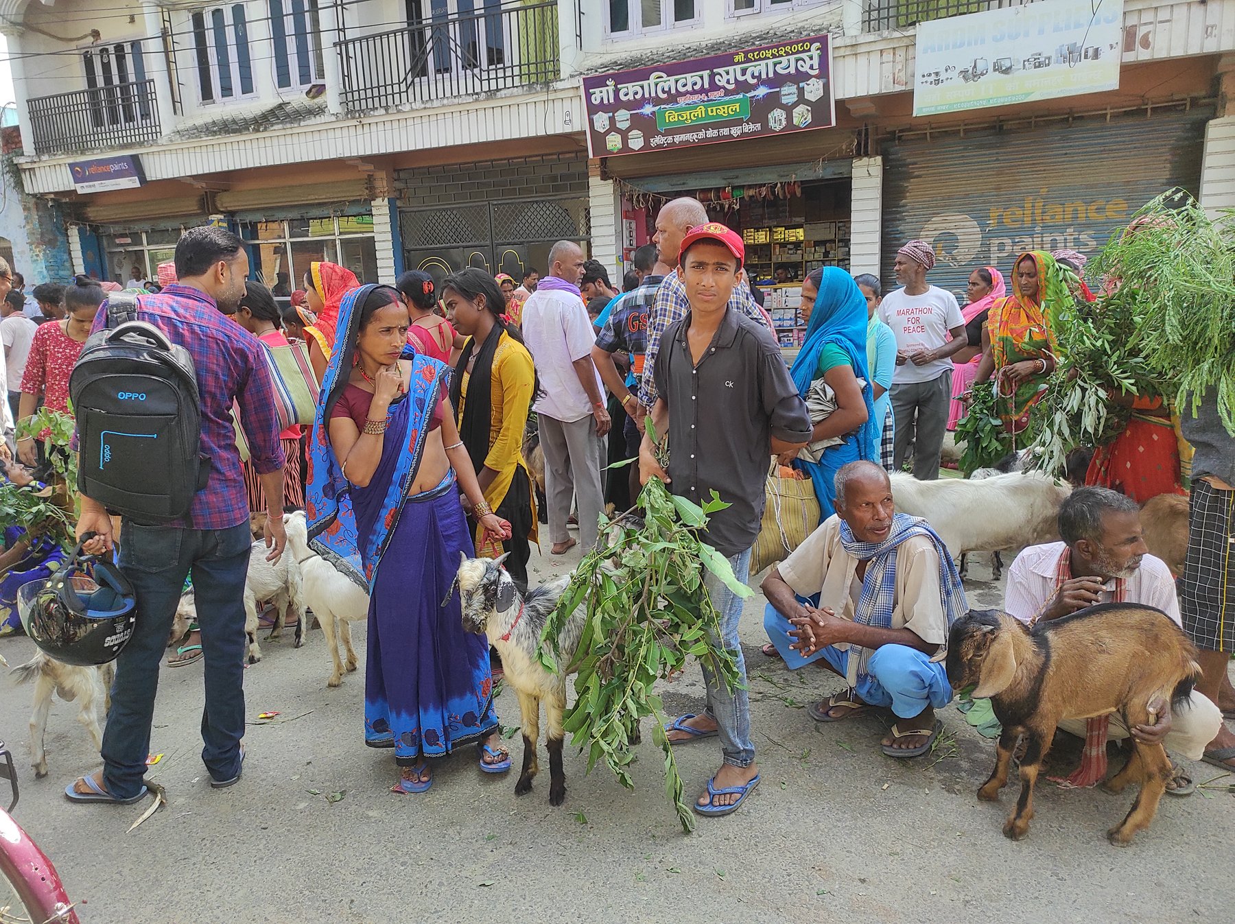 बिक्रीका लागि कृषकले ल्याएका खसीबोका