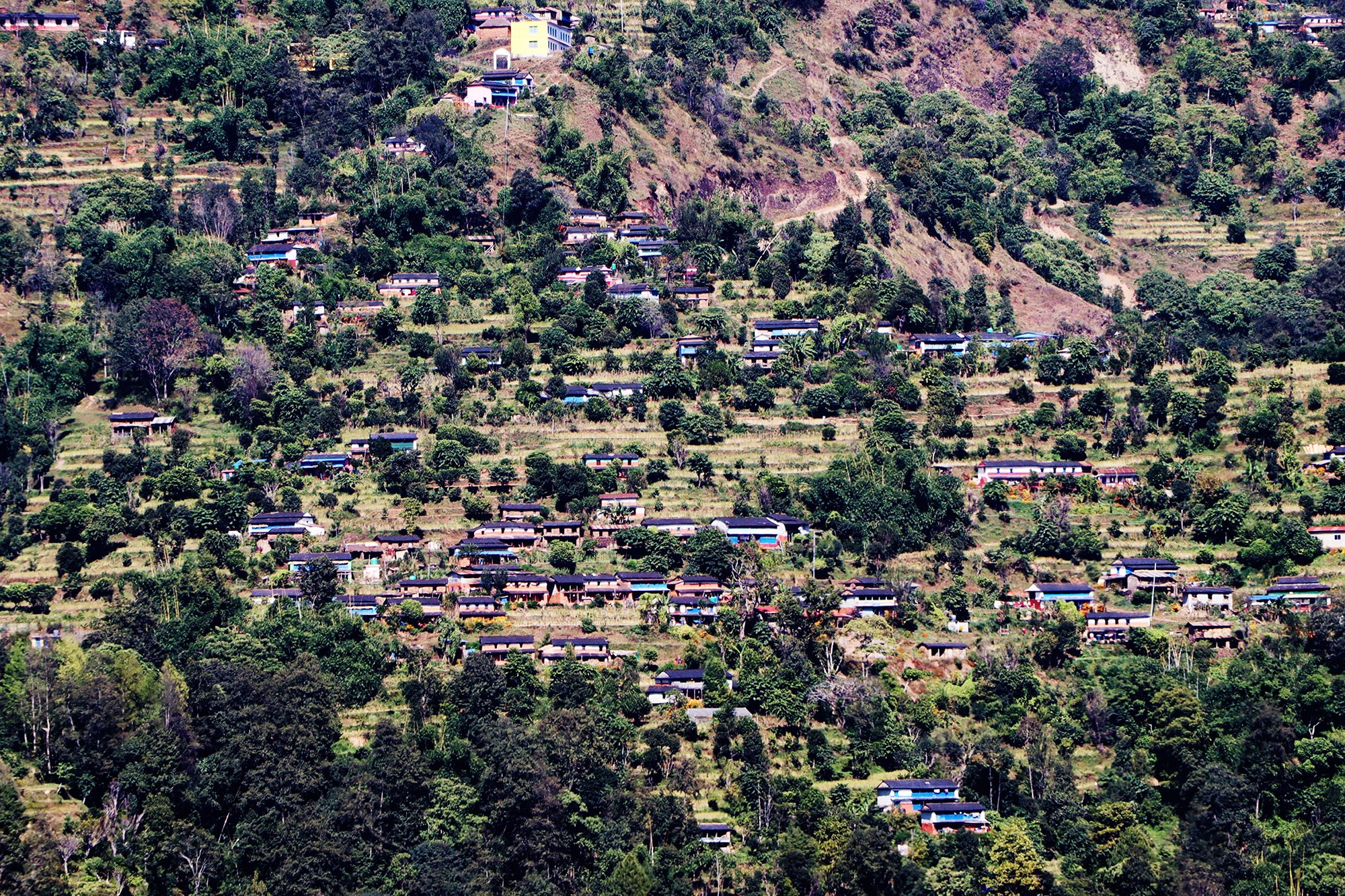 सुविधा खोज्दै सहरी क्षेत्रमा झर्नेको संख्या बढेपछि ग्रामीण बस्तीहरु सुनसान