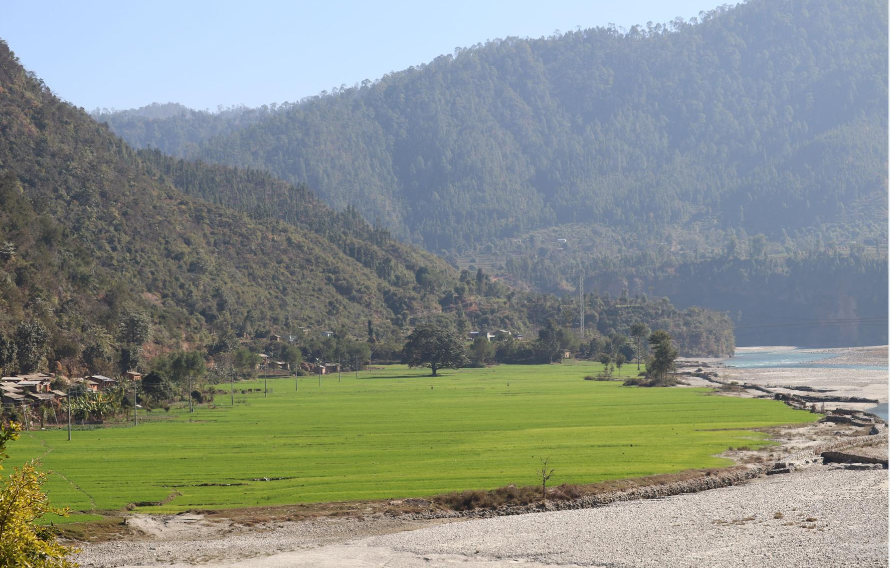 सिँचाइ सुविधापछि वर्षमा तीन बाली