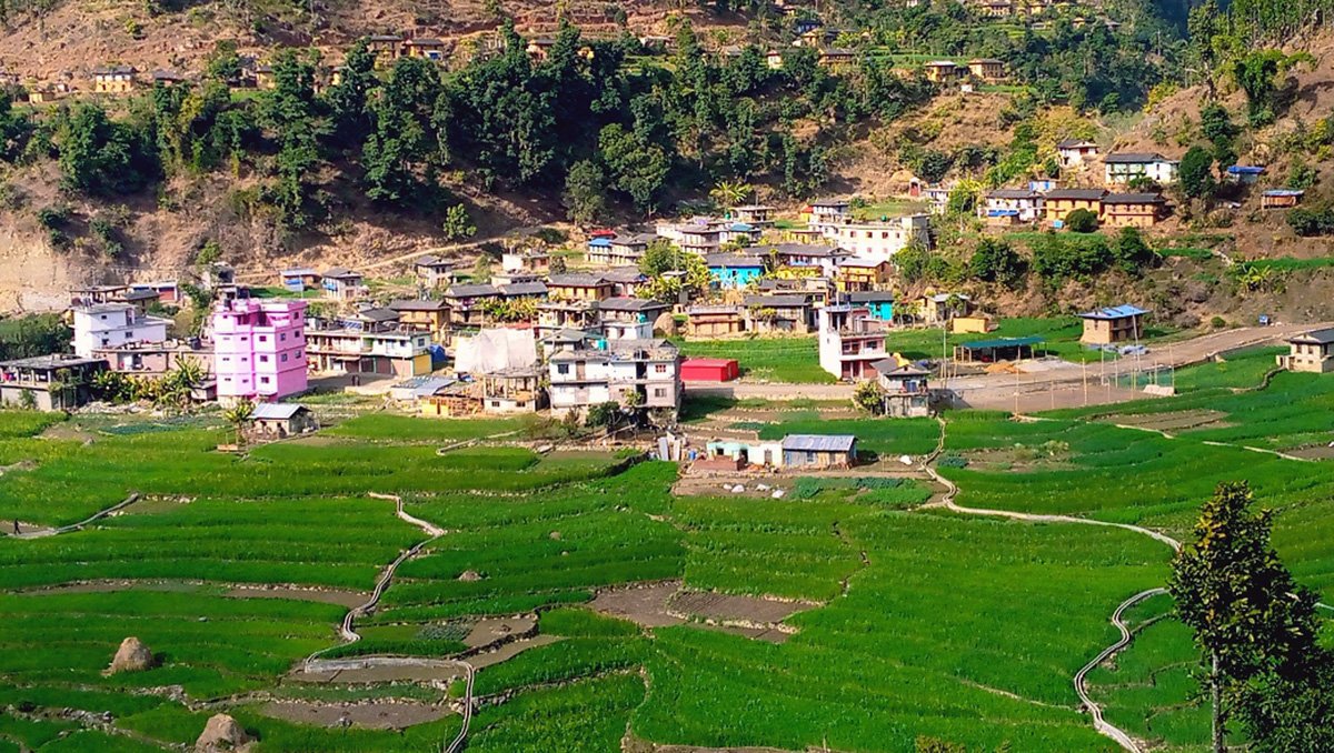 पेदिगाउँ