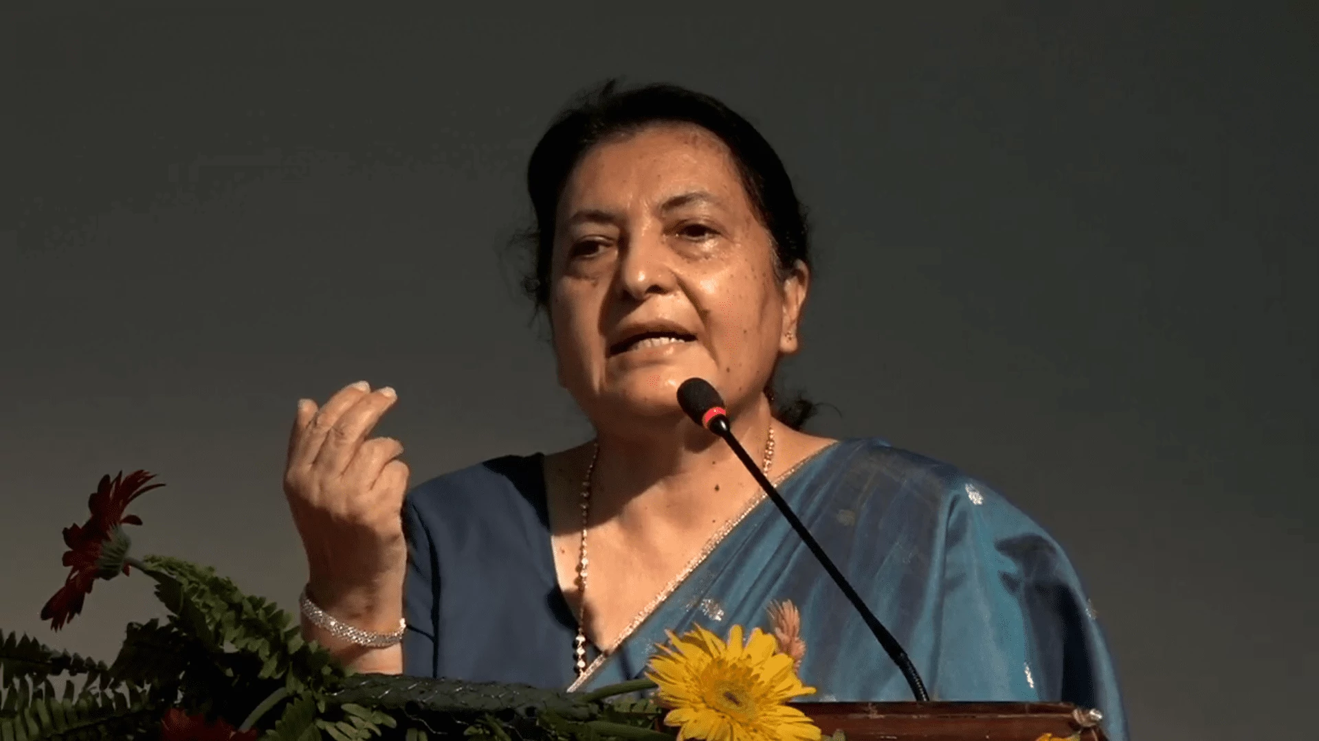 प्रकृति सम्पदालाई ध्यानमा राखेर विकास निर्माणका कामहरु गर्नुपर्छ : पूर्वराष्ट्रपति भण्डारी