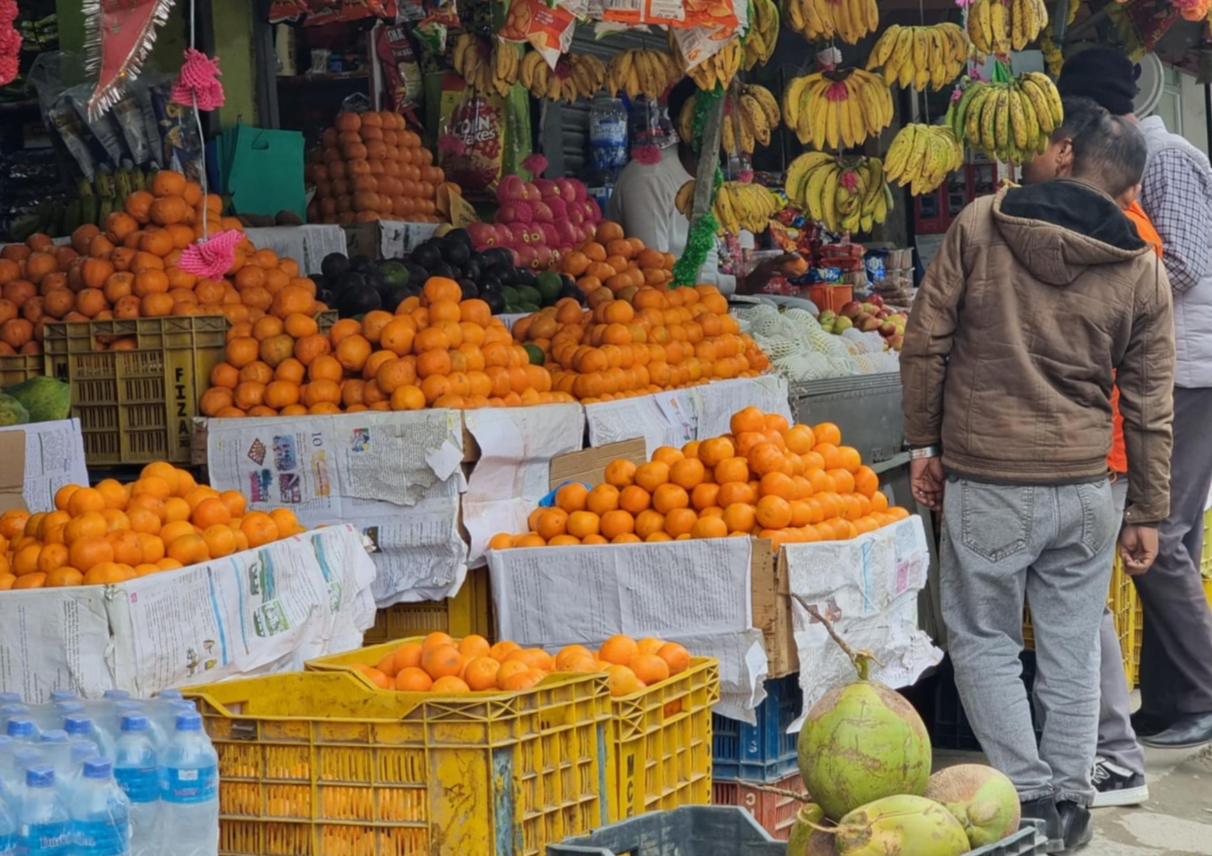 सुन्तला उत्पादन घटेपनि मूल्य वृद्धि हुँदा किसान उत्साहित