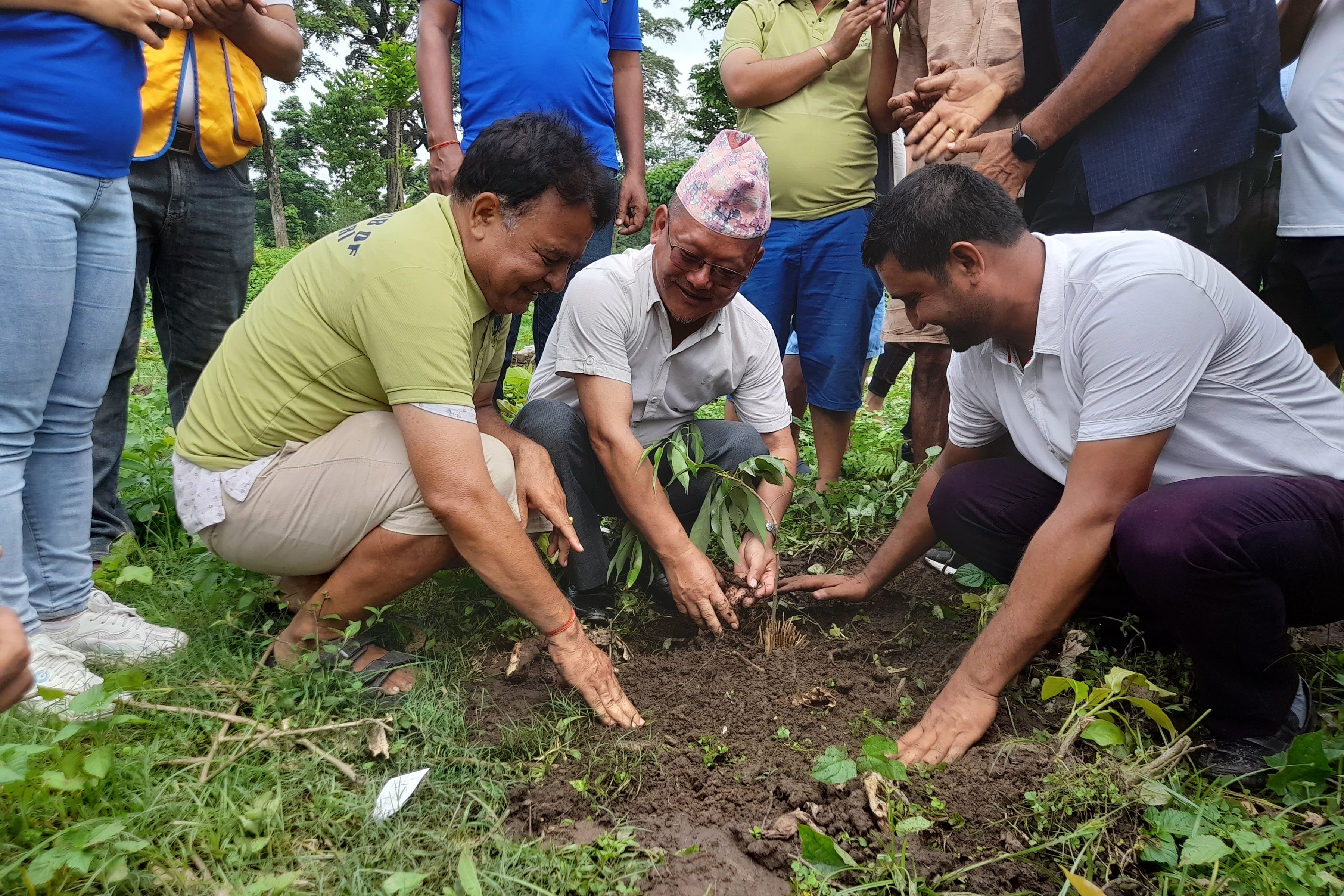 नगर प्रमुख राईद्वारा वृक्षरोपण