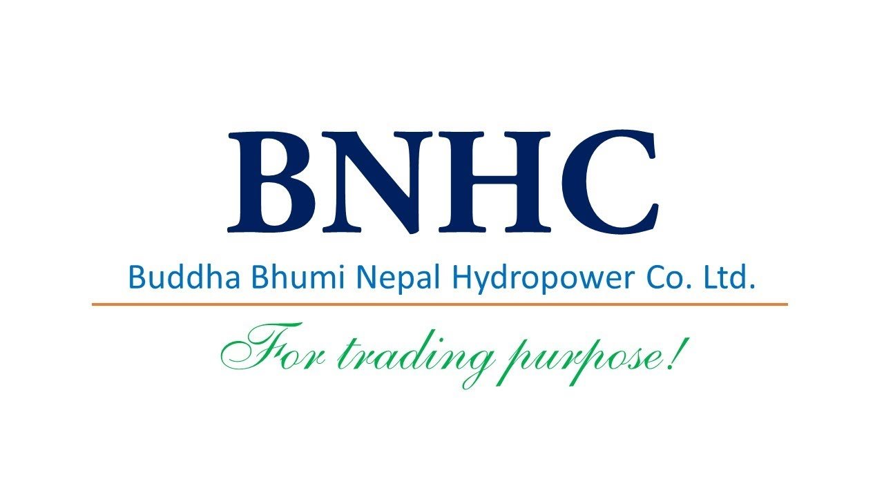 हकप्रद निष्कासन प्रस्तावसहित बुद्धभुमि हाइड्रोपावरले डाक्यो साधारण सभा