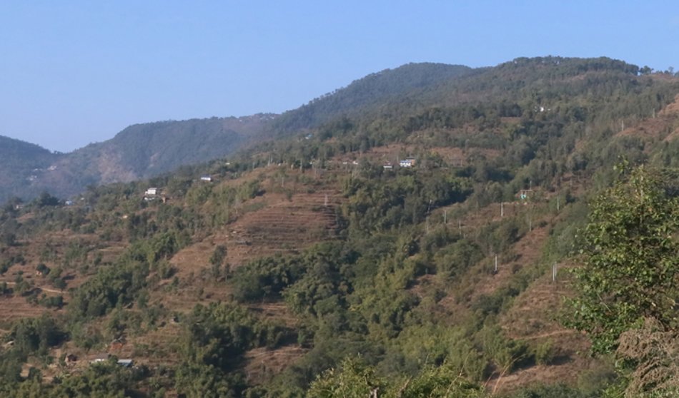 परम्परागत संस्कृति र स्वास्थ्यमा प्रतिकूल असर पुर्याएकाे भन्दै आयातित पेयपदार्थमा प्रतिबन्ध