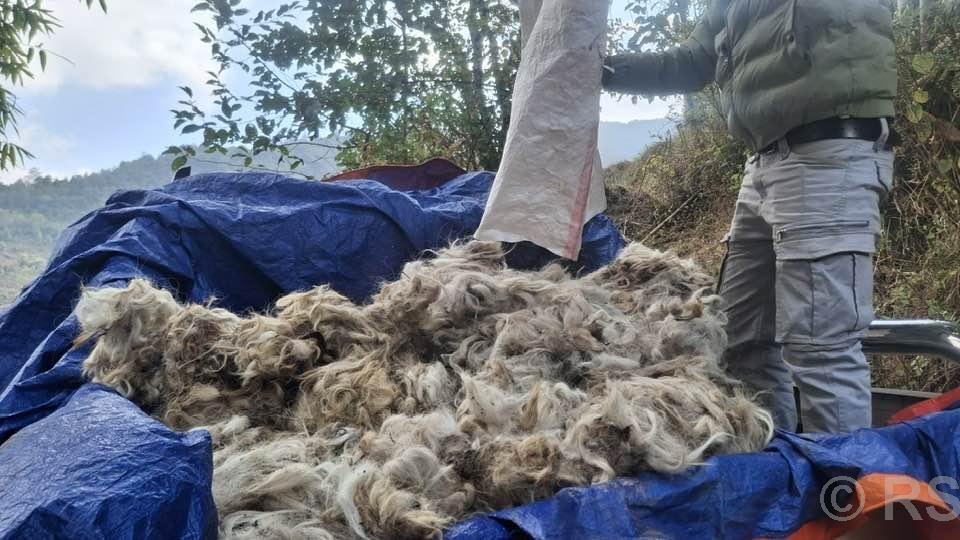 परम्परागत सीपको संरक्षण गर्न टेम्केमैयुङमा राडीपाखी बुन्ने तालिम सञ्चालन