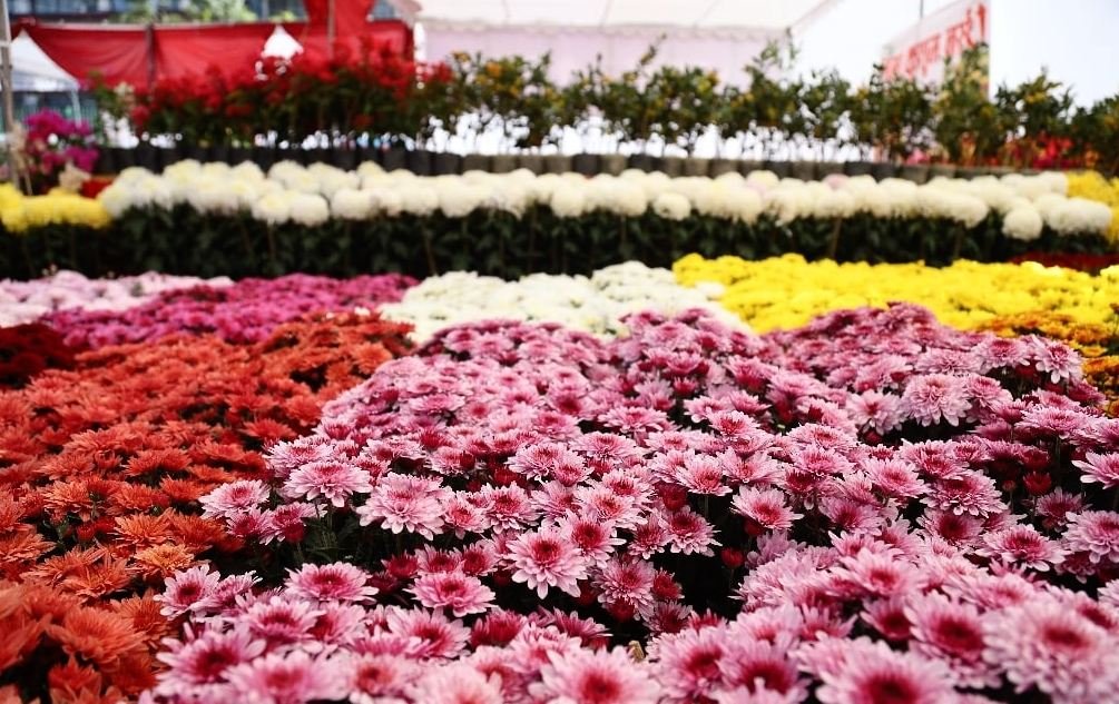 जावलाखेलमा १६ औँ गोदावरी फूलको प्रतियोगितात्मक प्रदर्शनी सुरु