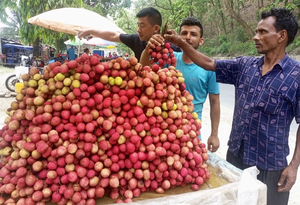 लिचीको व्यापार