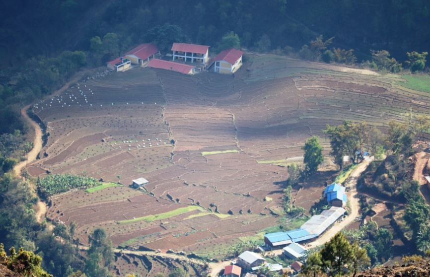 तारकेश्वरको भमरा फाँट