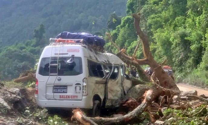 गुडिरहेको माइक्रो बसमाथि रुख खस्दा ७ जना यात्रु घाइते