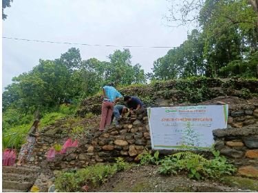 समृद्घि फाईनान्सको हेटौंडा र पोखरा शाखाबाट बृक्षारोपण