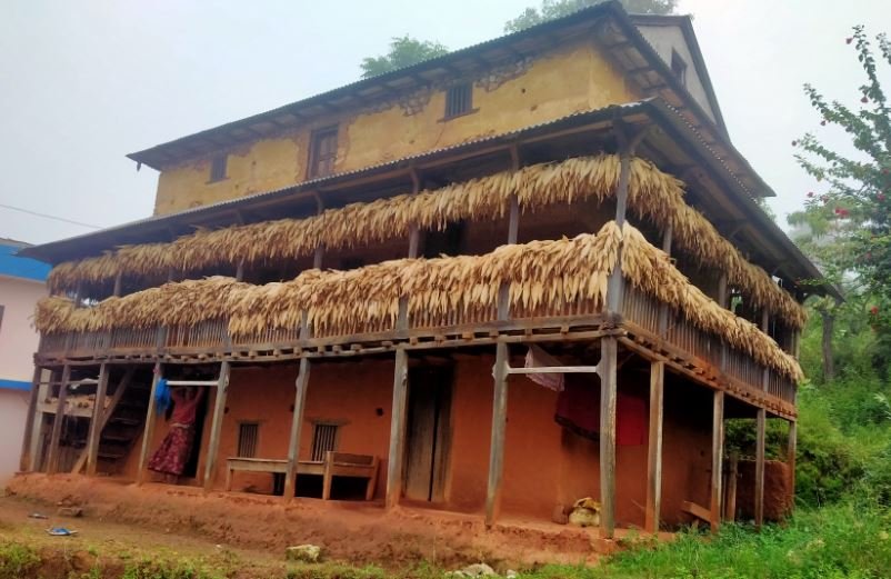 बार्दलीमा मकै