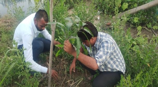 समृद्धि फाईनान्सको औरही  शाखाबाट बृक्षारोपण