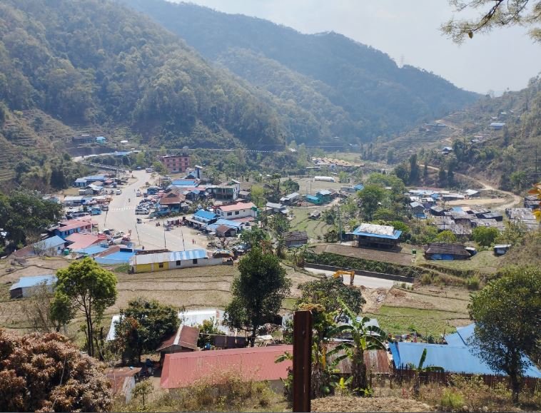 सिन्धुलीको चियाबारी