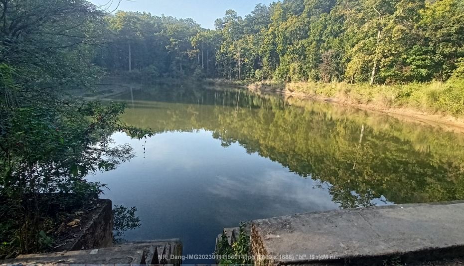 चरिङ्गे दह