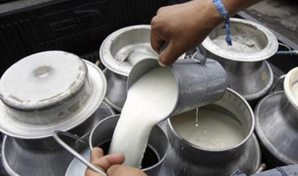 नेपाल डेरी, हात्तीवनलाई ५० हजार जरिवाना