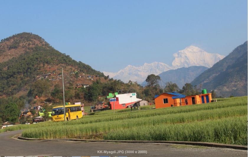 धौलागिरी हिमाल र गहुँ खेतीको  दृश्य