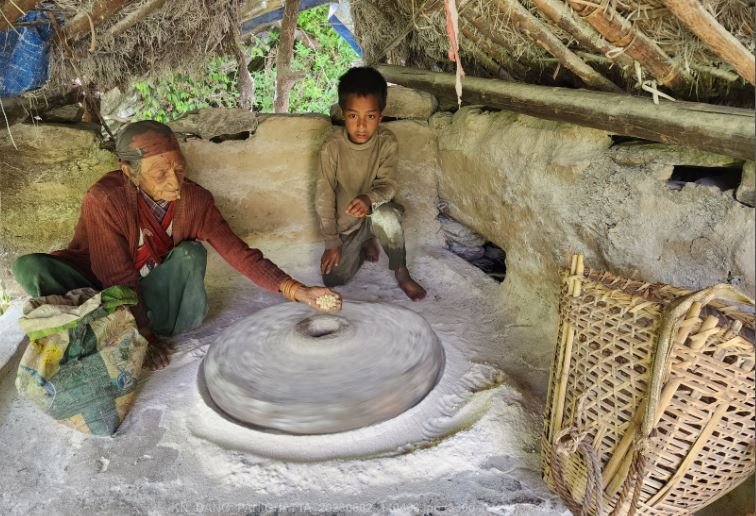 घट्टमा मकै पिसाउँदै वृद्धा