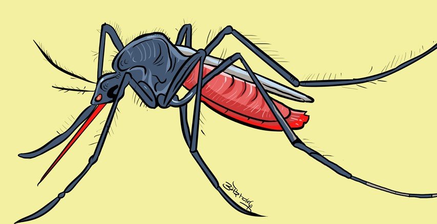 डेंगो नियन्त्रणका लागि देशभर सरसफाइ अभियान