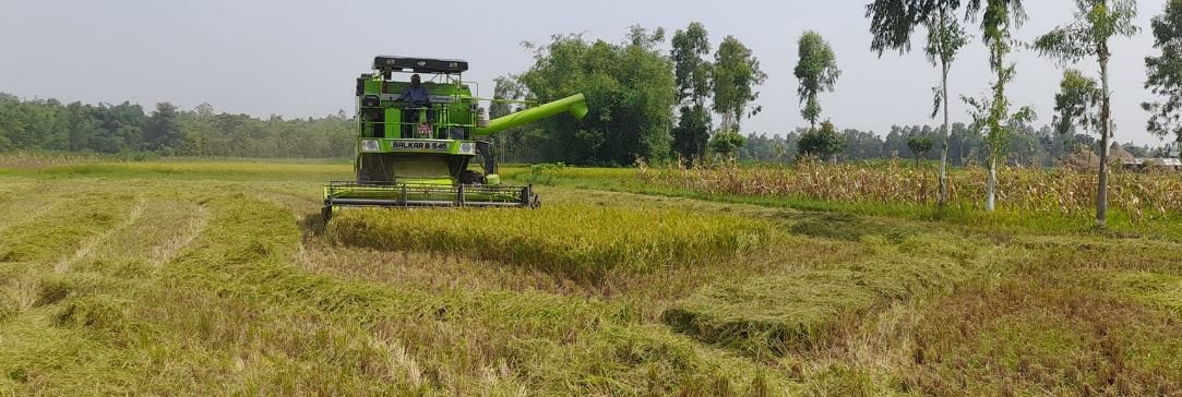 उपकरणबाट धान काट्दै