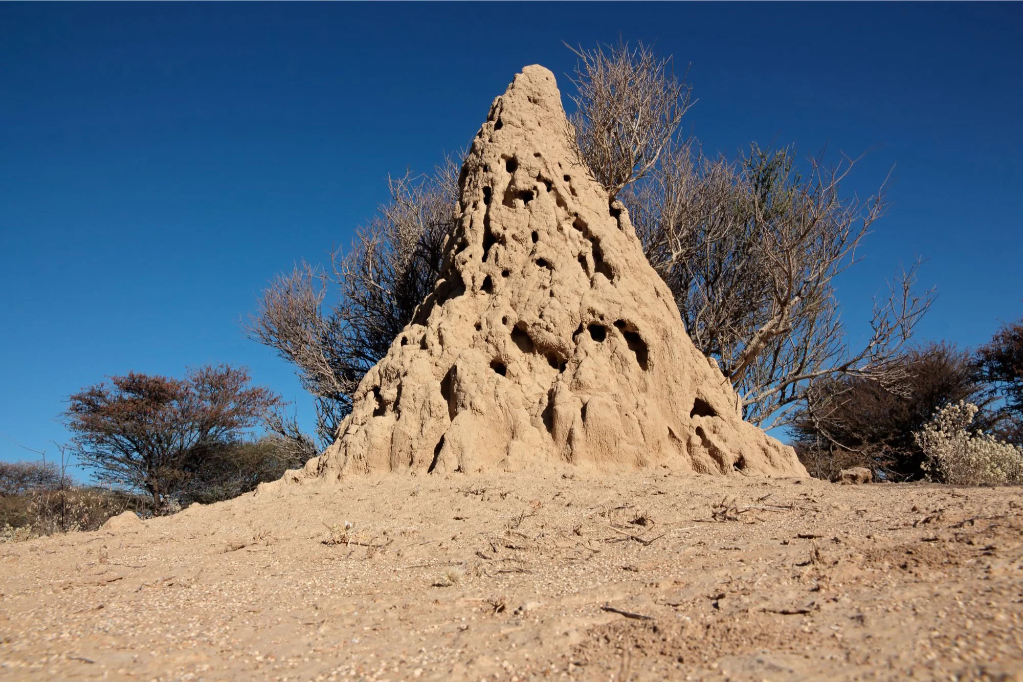 दक्षिण अफ्रिकामा ३४ हजार वर्ष पुराना ‘धमिराको ढिस्का’ फेला