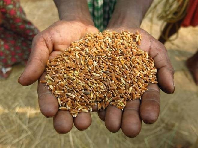 कति तोक्यो सरकारले  धानको न्यूनतम समर्थन मूल्य ?