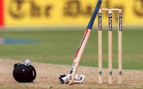 ललितपुर मेयर कप क्रिकेट : कोशीविरुद्धको खेलमा एपीएफ विजयी